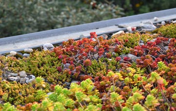 the cost of Skirza green roof installation