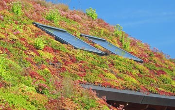 Skirza living roof systems