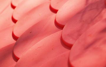 Skirza plastic roof costs