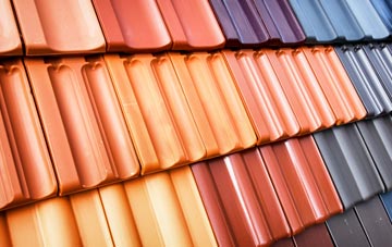 Skirza roof tile costs