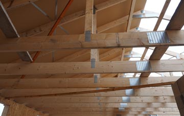 Skirza roof truss costs