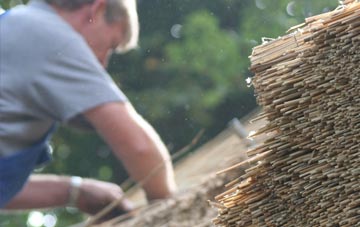 professional Skirza thatchers