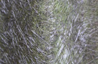 Skirza fibreglass roof work