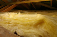 Skirza pitch roof insulation