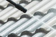 rated Skirza roof cleaning companies