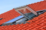 Skirza roof window