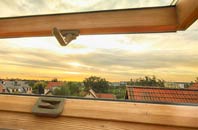 rated Skirza roof window companies