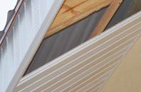rated Skirza soffit repair companies